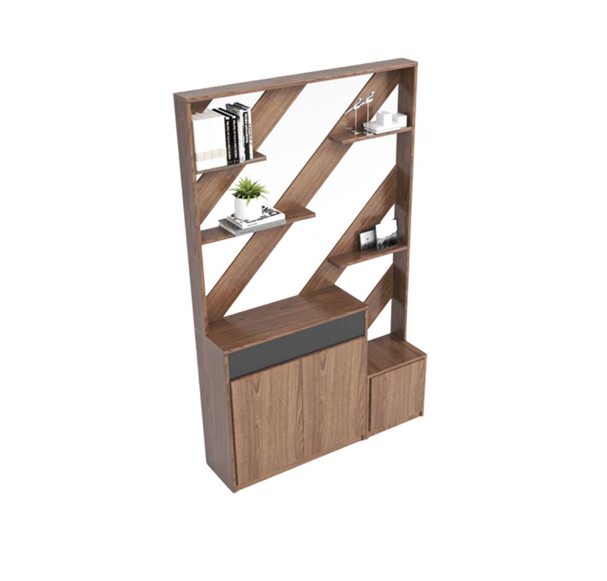 Slopy Modern Office Library