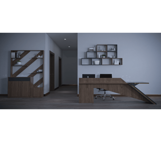 Slopy Modern Office Library